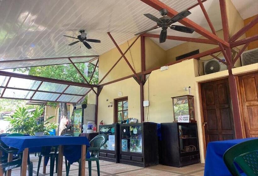 ユースホステル Cabinas Surf Arribadas