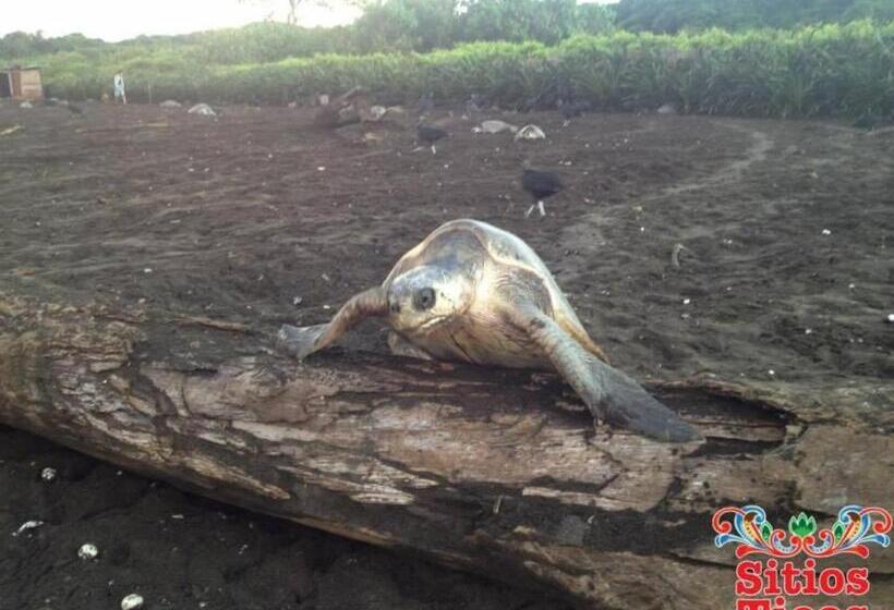 ユースホステル Cabinas Surf Arribadas