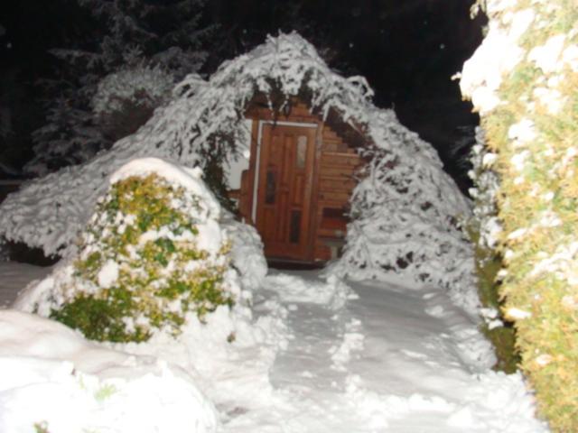 ユースホステル Motel Charlie