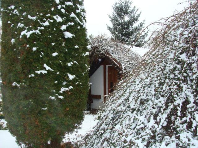 ユースホステル Motel Charlie