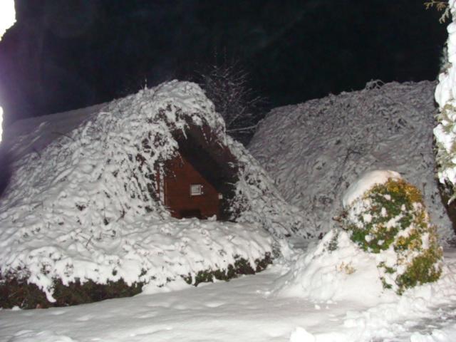 ユースホステル Motel Charlie