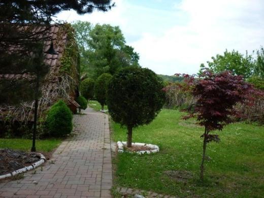 ユースホステル Motel Charlie