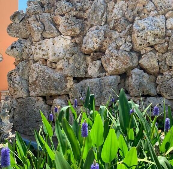 Bed and Breakfast Barsentello