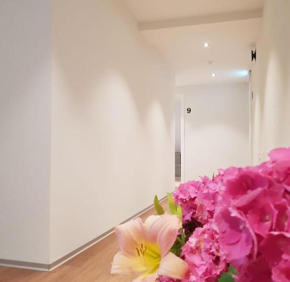 בית מלון כפרי Ringmauer