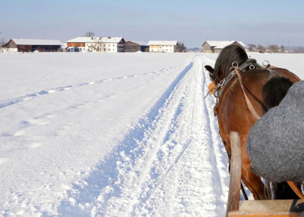 בית מלון כפרי Springerhof