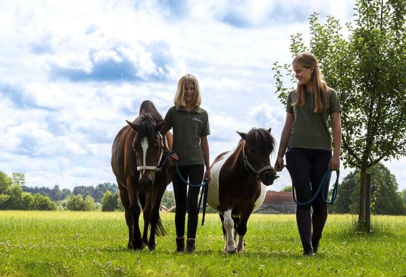 בית מלון כפרי Springerhof