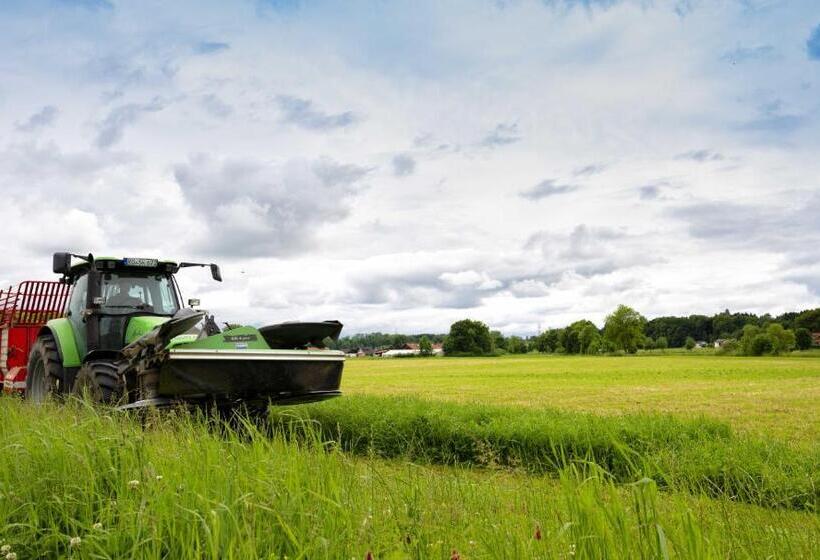 בית מלון כפרי Springerhof