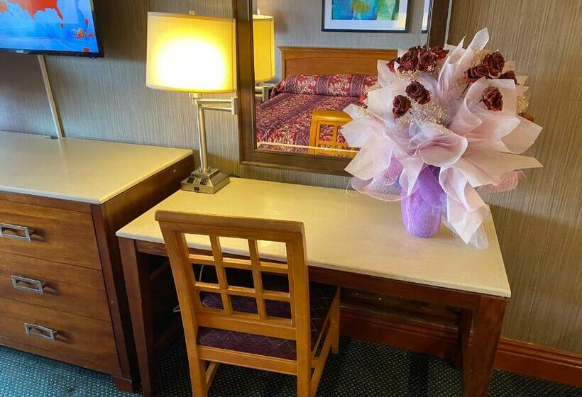 فندق على الطريق New Century Inn