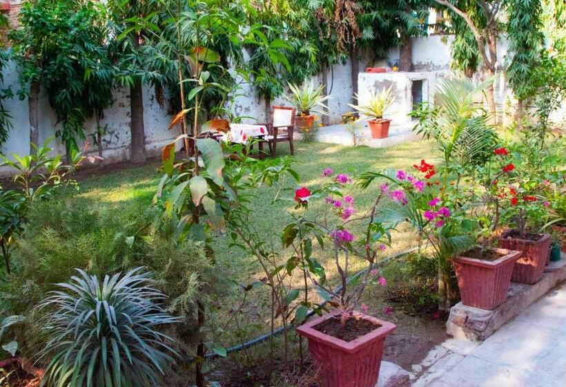 بنسيون Falcon Guest House