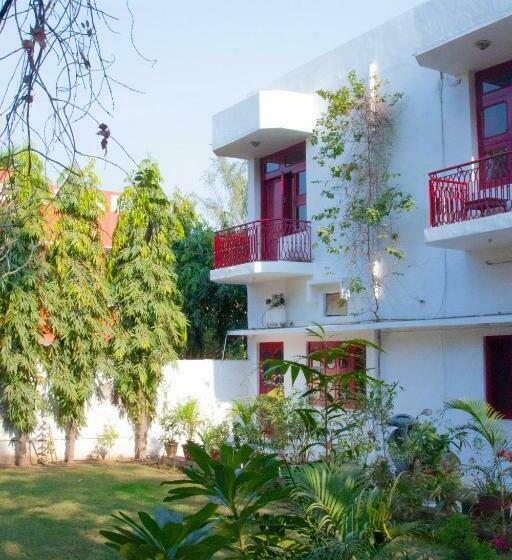 بنسيون Falcon Guest House