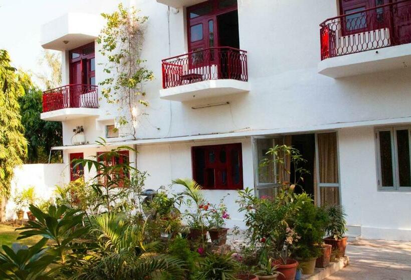 بنسيون Falcon Guest House