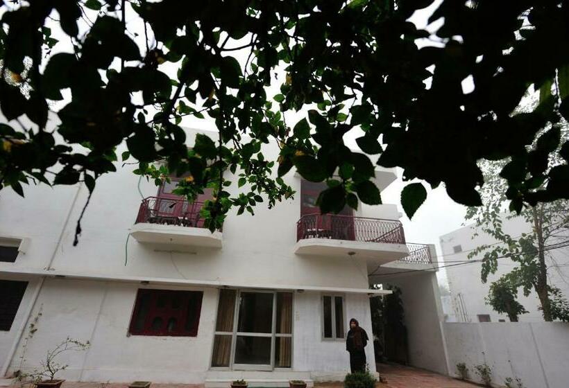 بنسيون Falcon Guest House