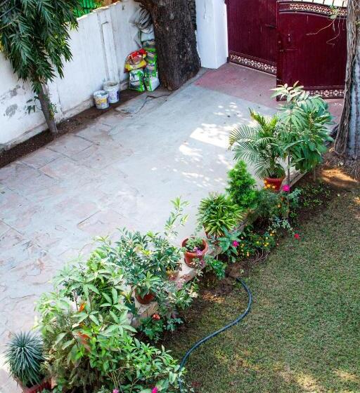 بنسيون Falcon Guest House