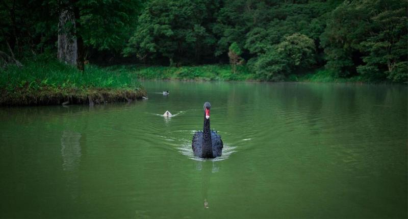 هتل Mingchih Resort