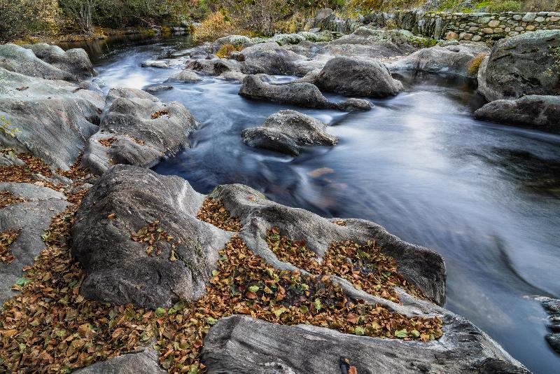 Casa Rural Aguas Frias Ii