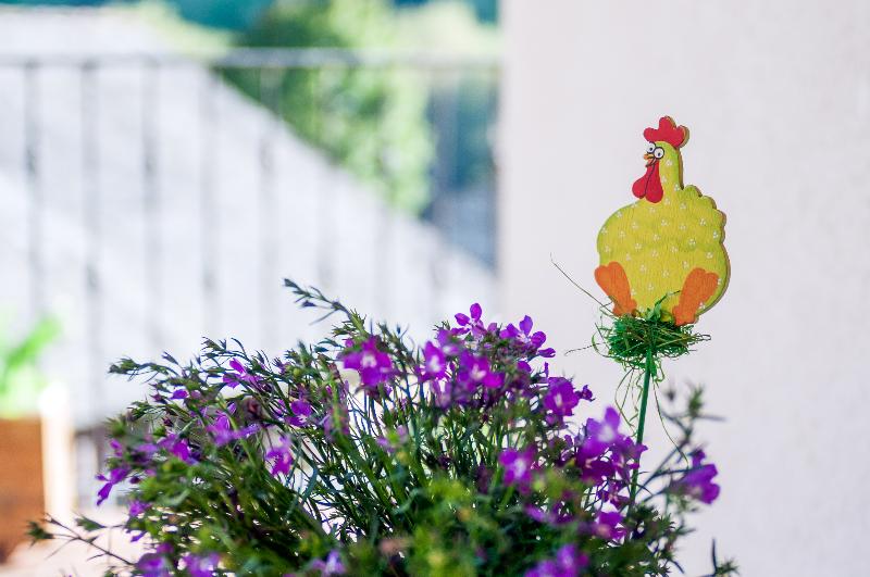 Casa Rural Aguas Frias Ii