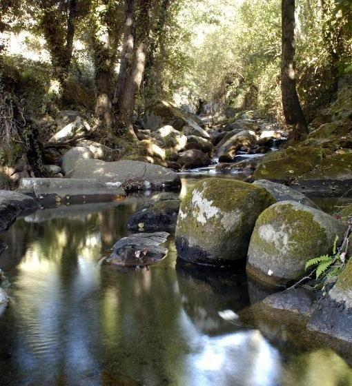 Casa Rural Arbequina Despierta Tus Sentidos En El Valle Del Ambroz