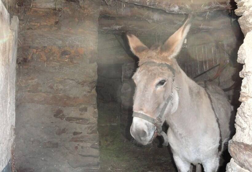 Apartamentos Rurales Azabal