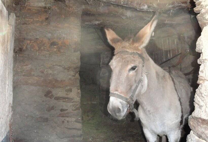 Apartamentos Rurales Azabal