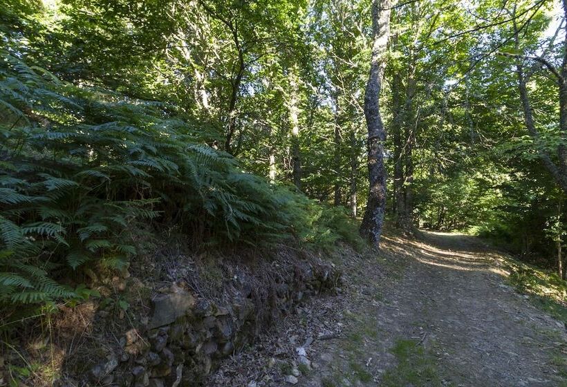 Camping Sierra De La Culebra