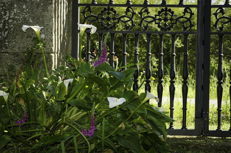 Casa De Turismo Rural Os Petroglifos