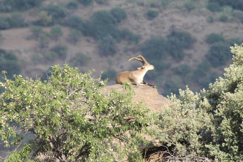 Casas Rurales Barranco de la Salud