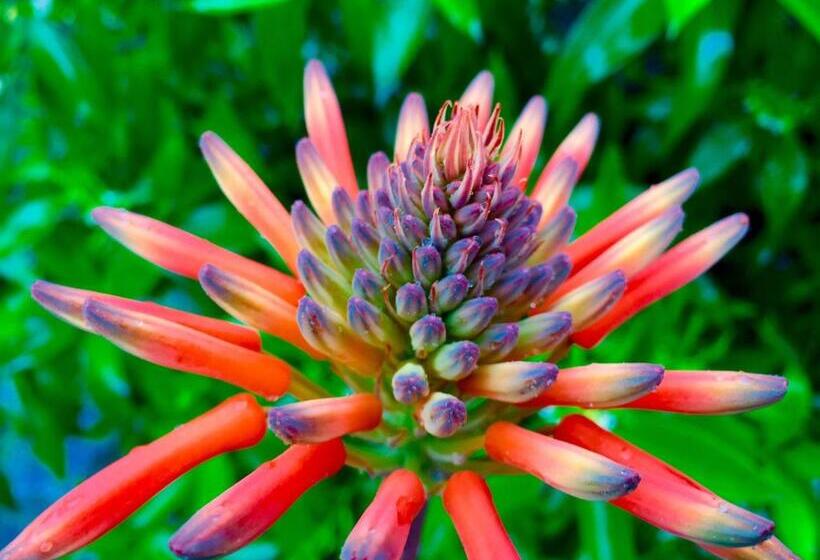 Complejo Rural Huerta Grande