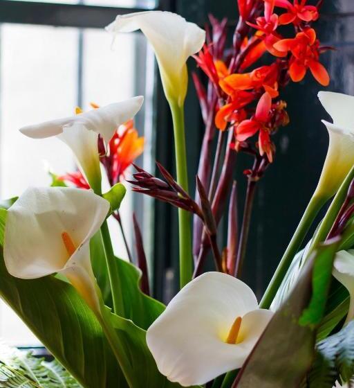 Complejo Rural Huerta Grande