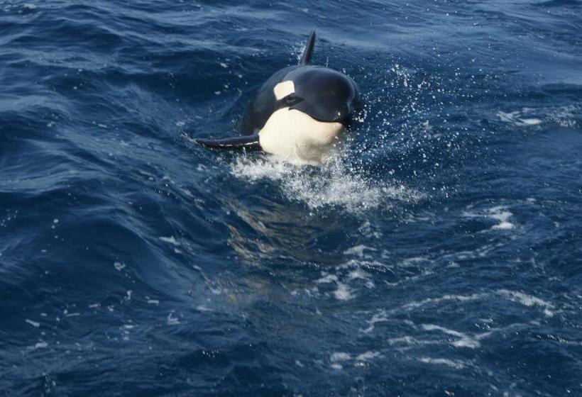 Complejo Rural Huerta Grande