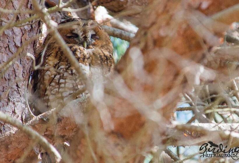 Complejo Rural Huerta Grande