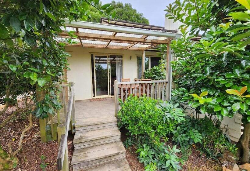 هتل Avalon Resort