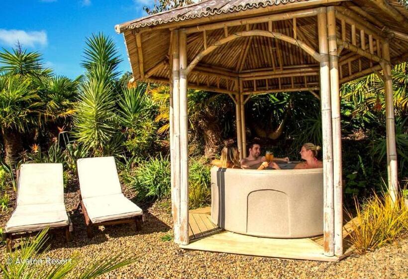 هتل Avalon Resort