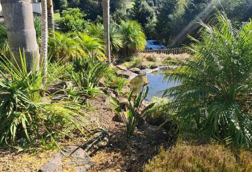 هتل Avalon Resort