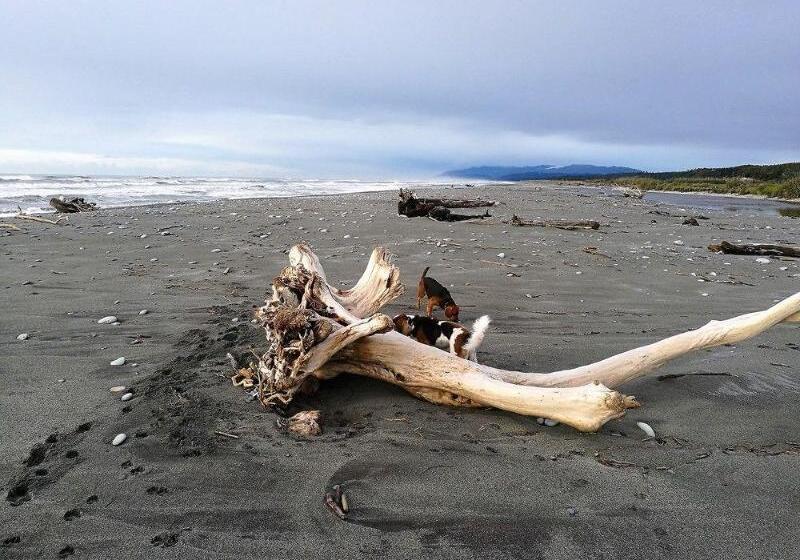 בית מלון כפרי Awatuna Homestead