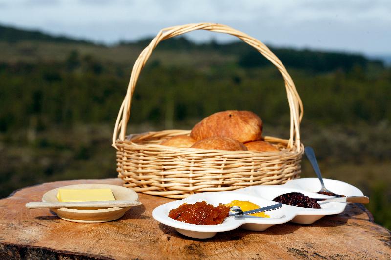 בית מלון כפרי Birds Ferry Lodge