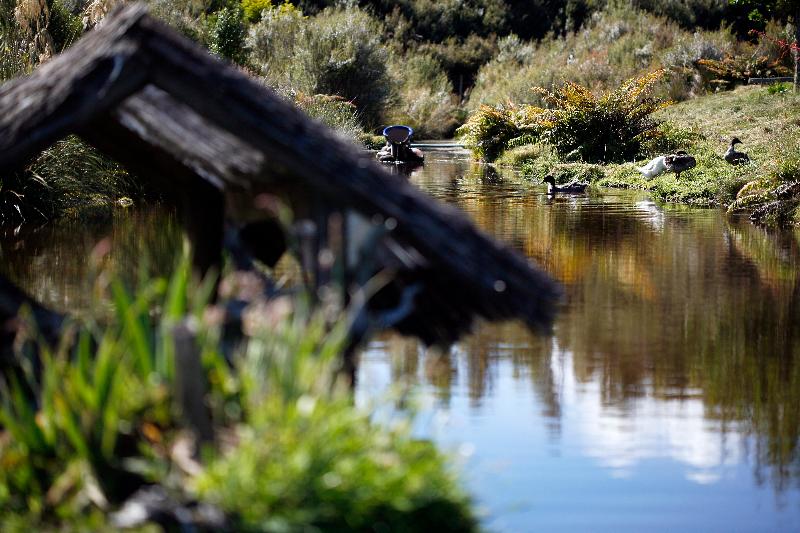 בית מלון כפרי Birds Ferry Lodge