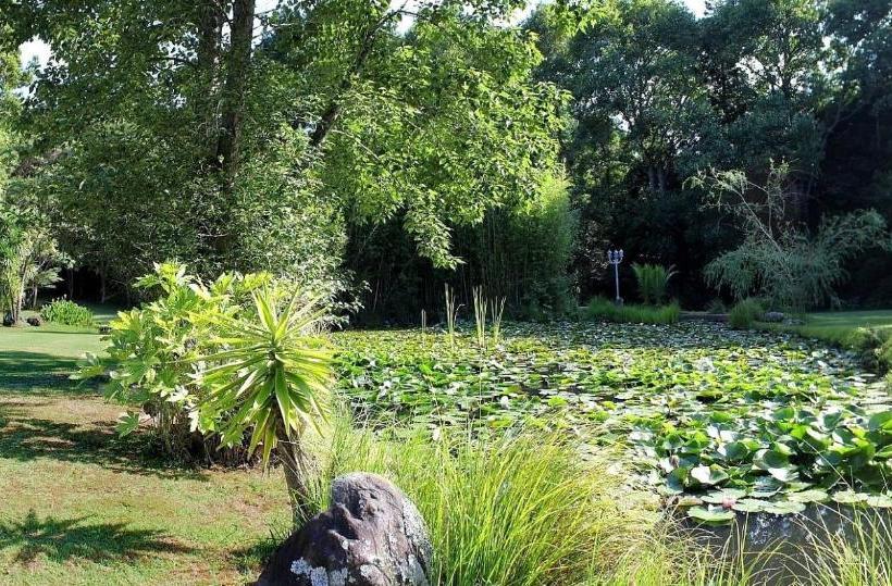 בית מלון כפרי Bushland Park Lodge And Retreat