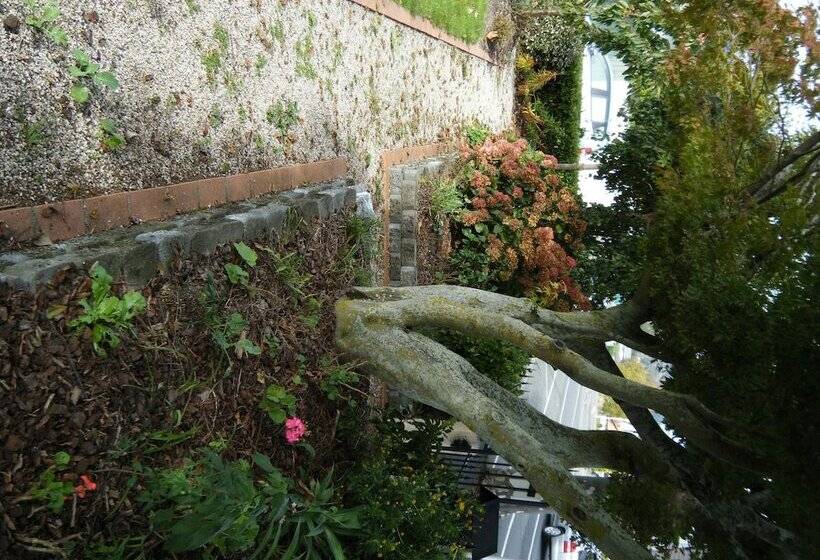 فندق Collingwood Manor