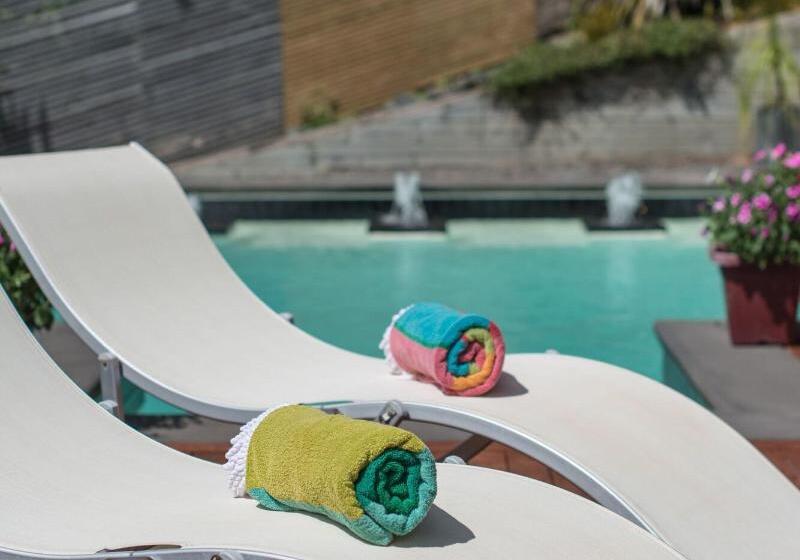 酒店 Decks Of Paihia