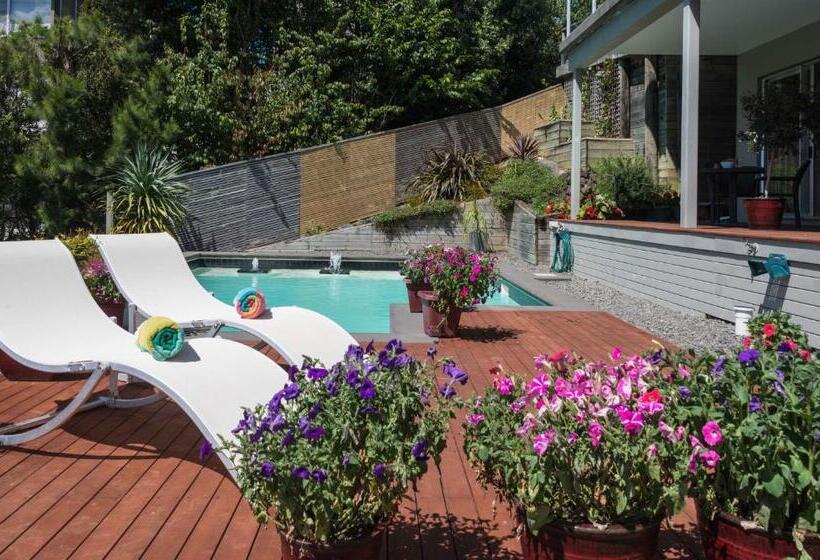 酒店 Decks Of Paihia