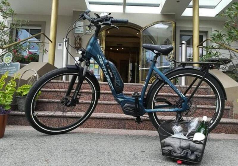 בית מלון כפרי Donauhof