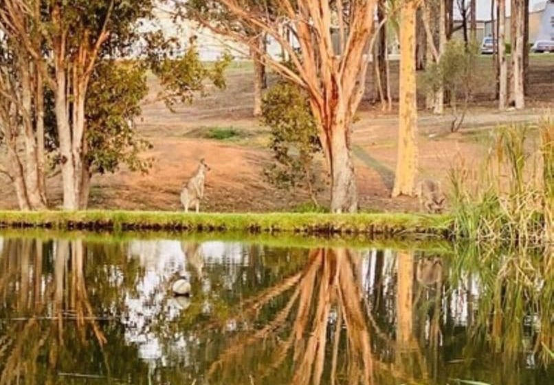 هتل Estate Tuscany