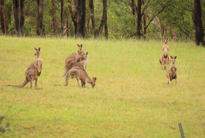 Отель Estate Tuscany
