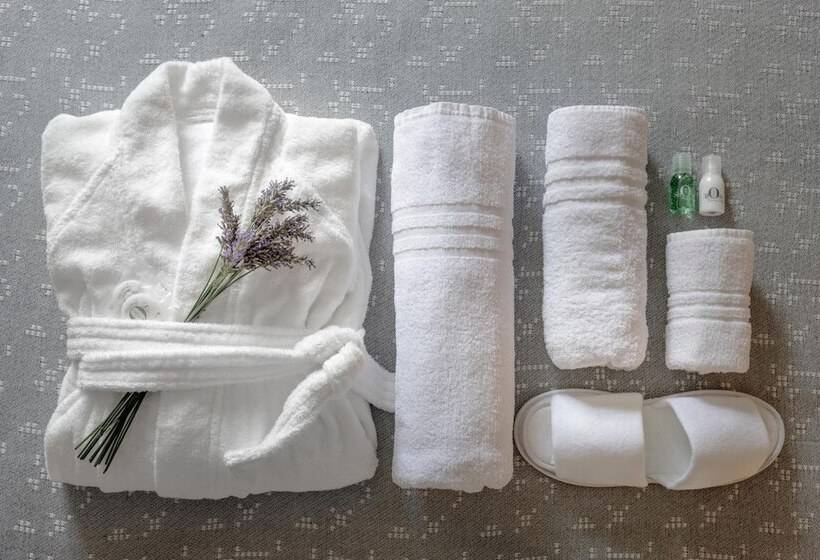 בית מלון כפרי Euro