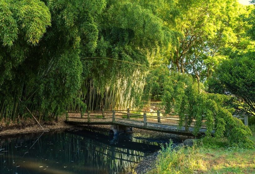 בית מלון כפרי Hana Lodge