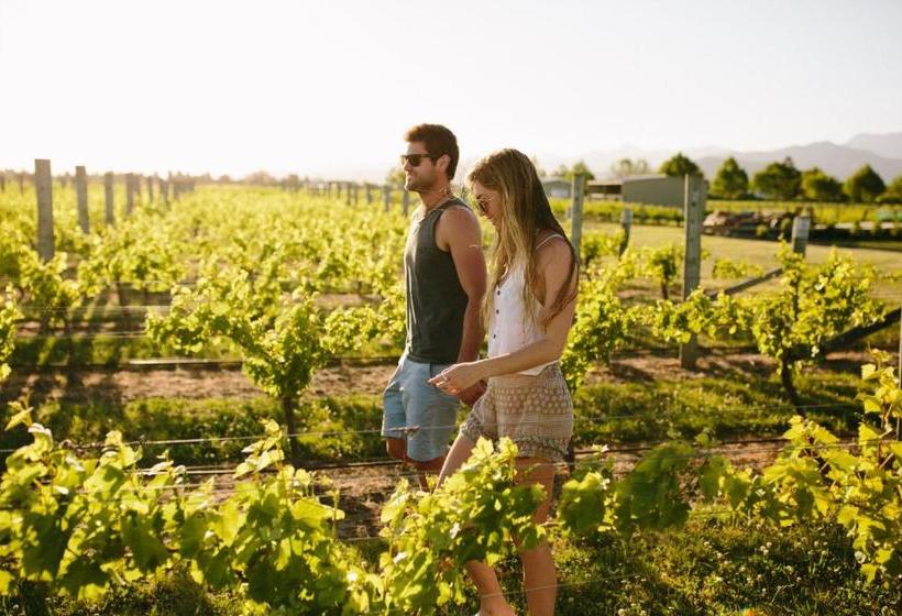 בית מלון כפרי Marlborough Vintners Accommodation