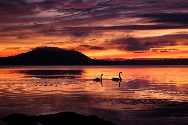 בית מלון כפרי On The Point  Lake Rotorua