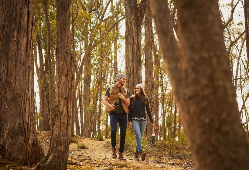 ホテル Racv Goldfields Resort