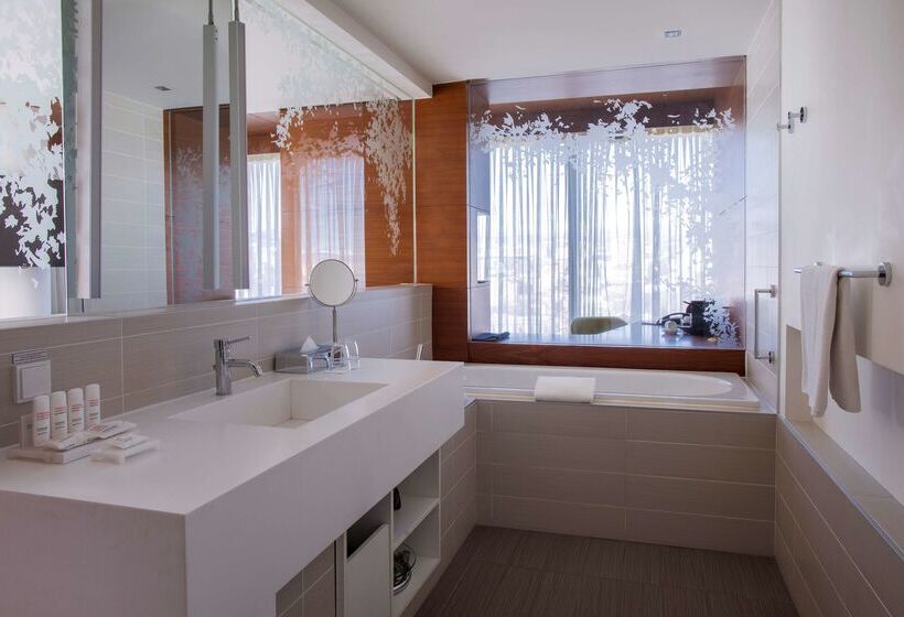 هتل Radisson Blu Iveria