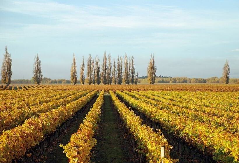 בית מלון כפרי Rosewood Cape Kidnappers